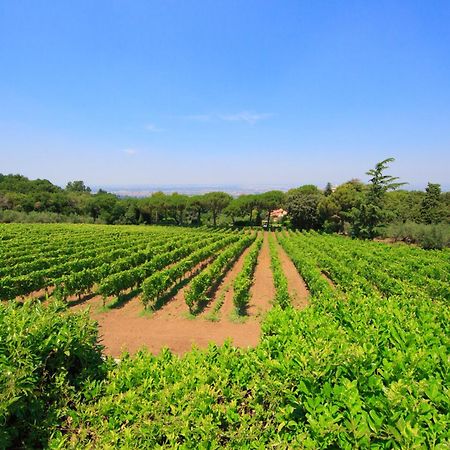 Frascati Country House Grottaferrata Eksteriør billede