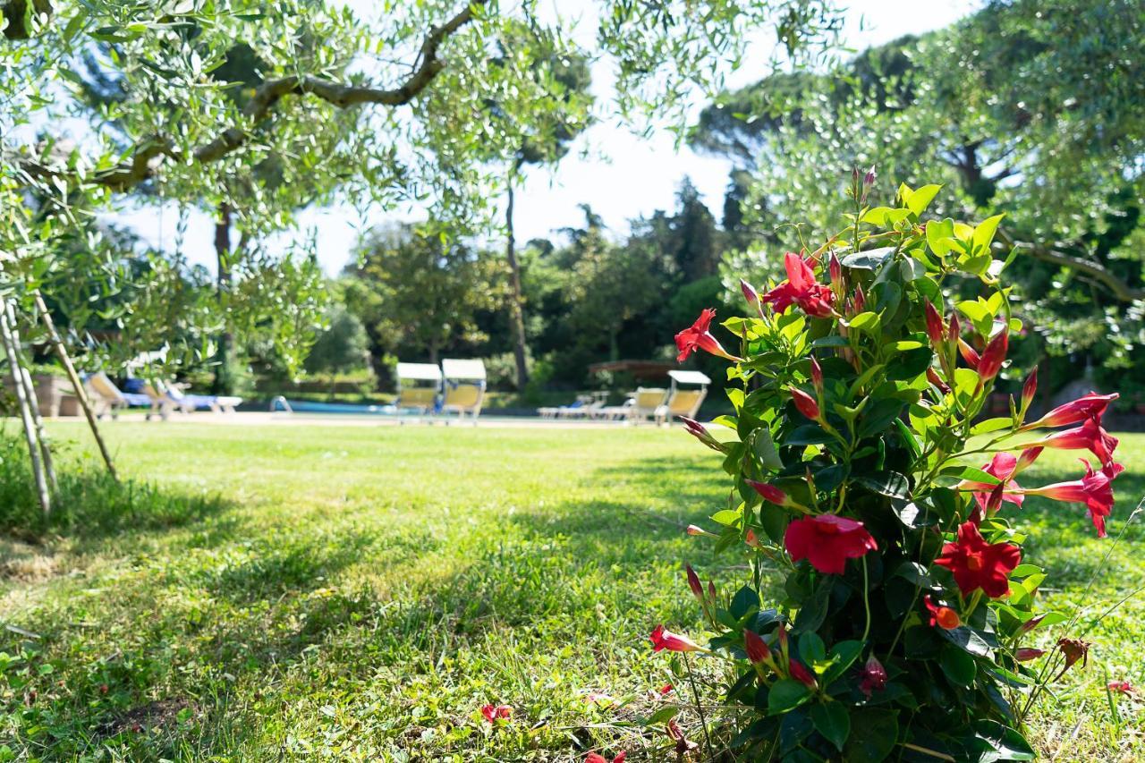 Frascati Country House Grottaferrata Eksteriør billede